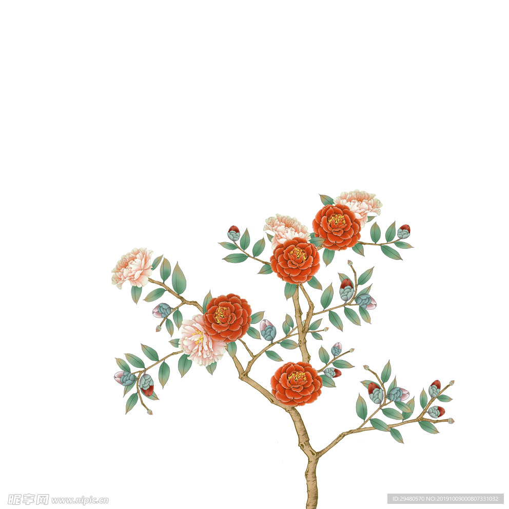 花瓣素材