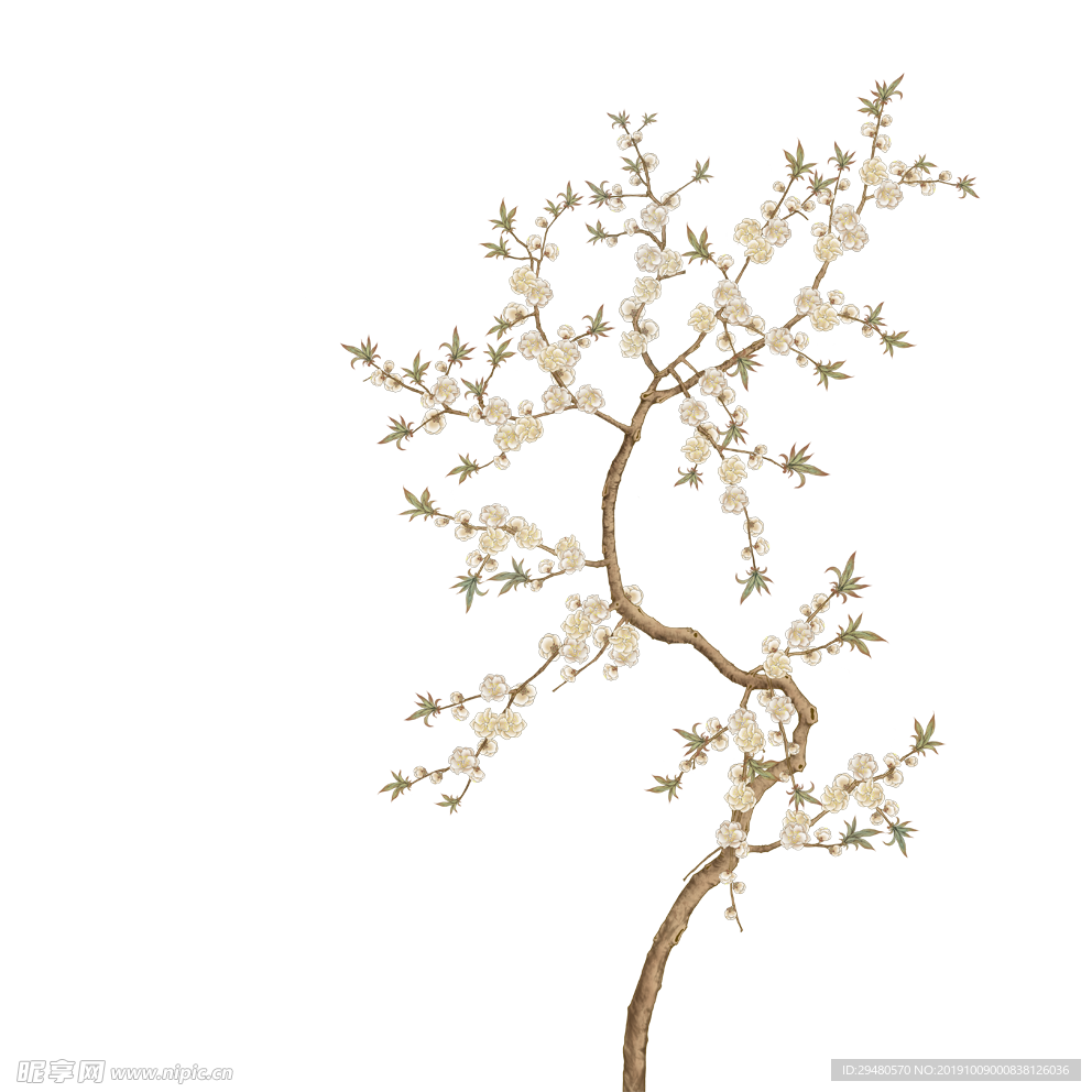 花瓣