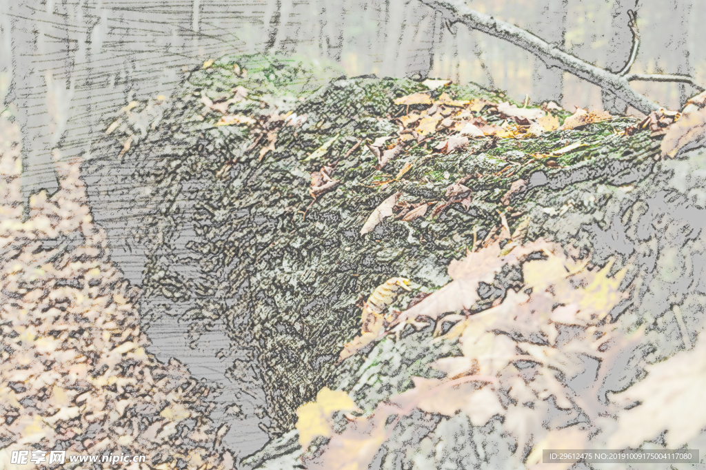 彩色铅笔画