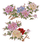 花   牡丹