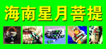 菩提招牌
