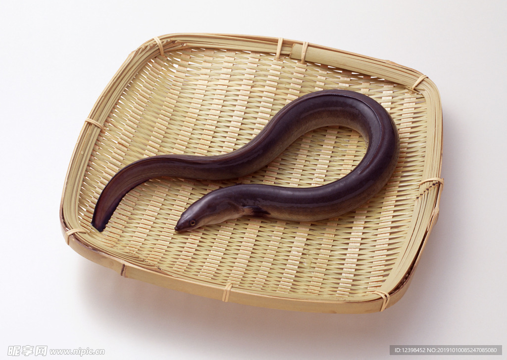 鳝鱼