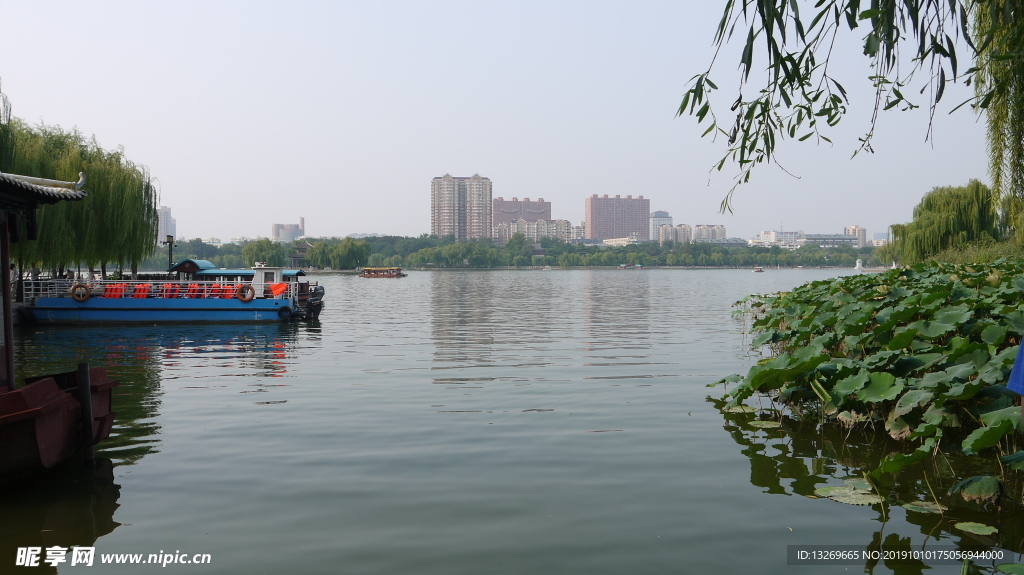 大明湖   湖面