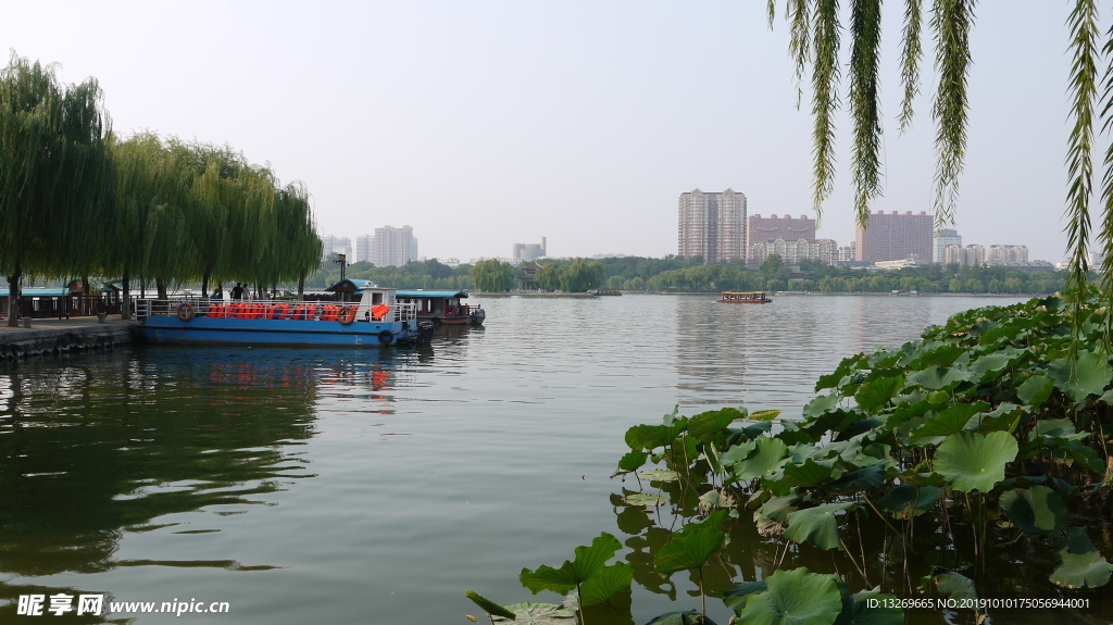 明湖   公园   泉城