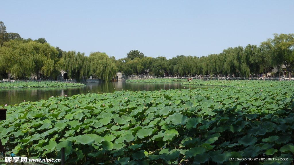北海公园  北京风光  自然景