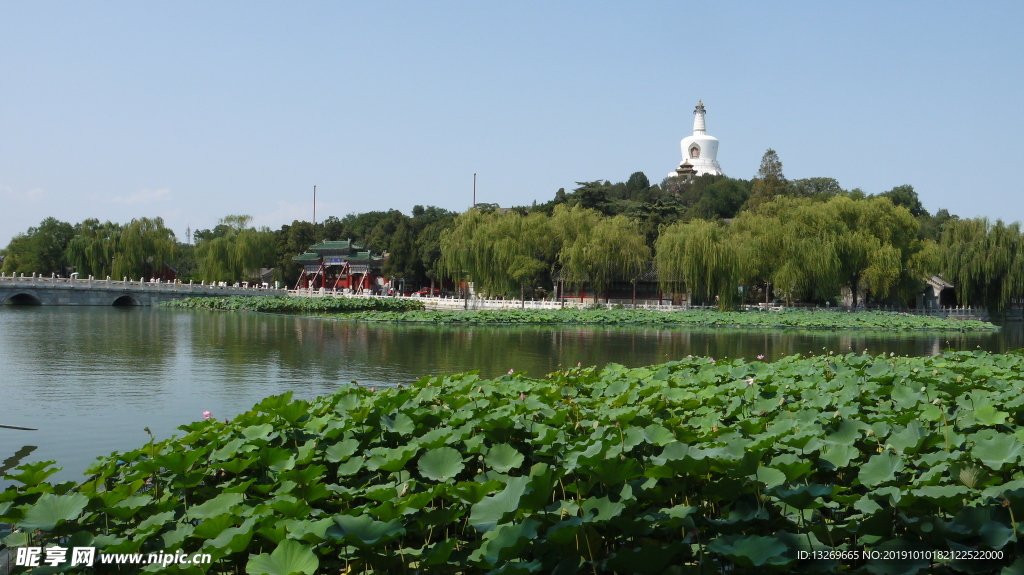北海公园  北京风光  自然景