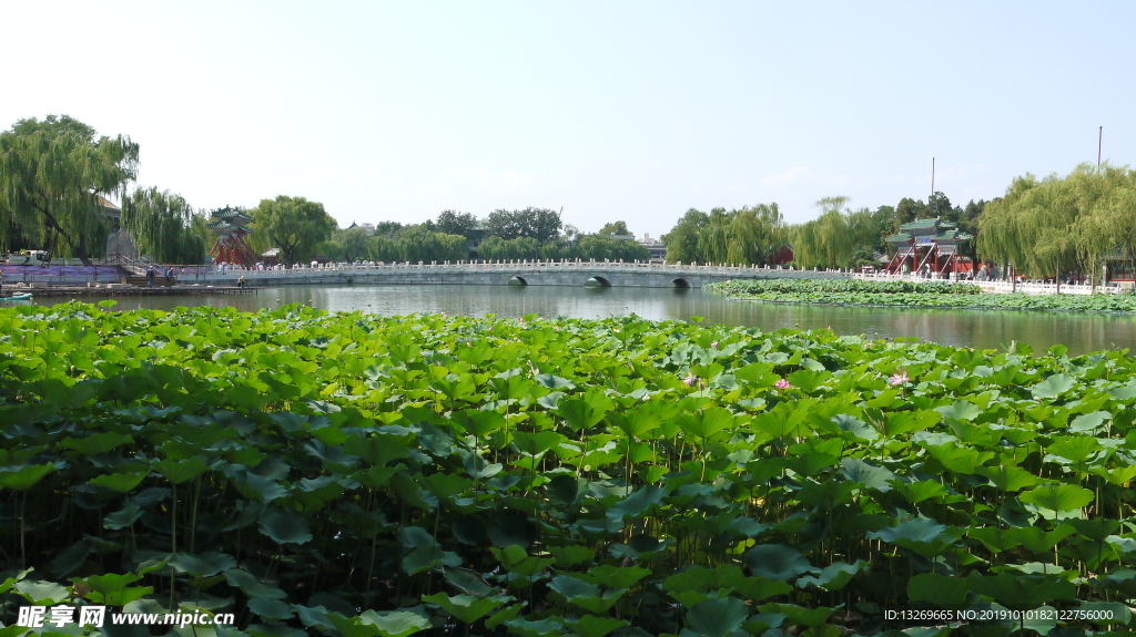 北海公园  北京风光  自然景