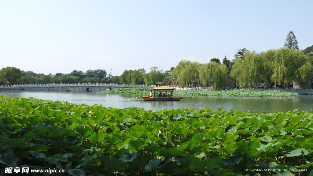 北海公园  北京风光  自然景