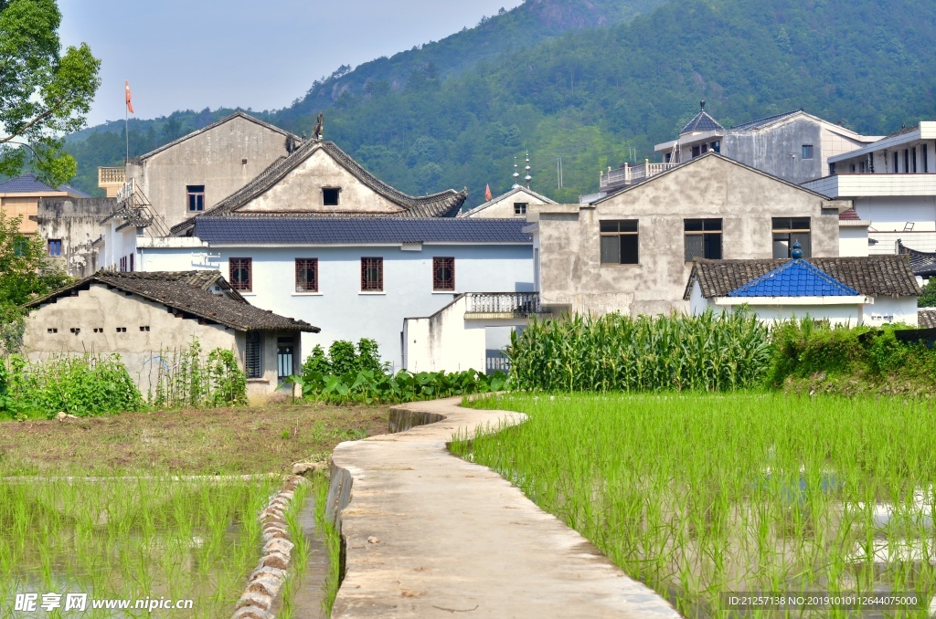 楠溪江田园风景