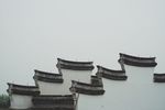 乌镇 村庄 水乡 江南 互联网