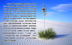 奋斗