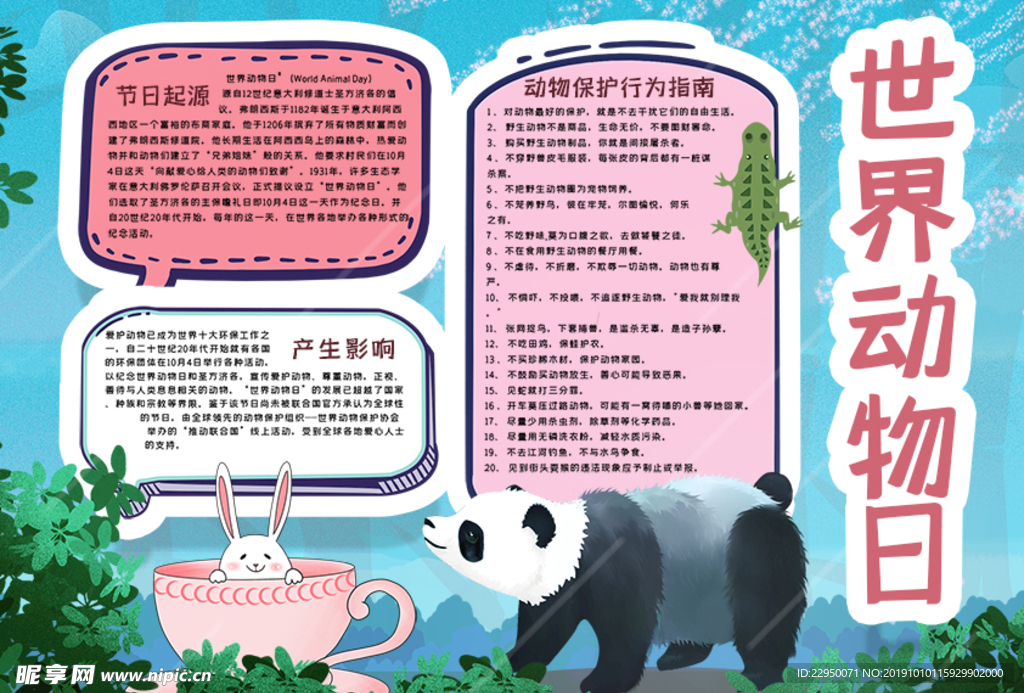 动物小报