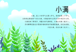 明信片-小满