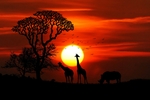 夕阳