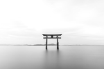 风光