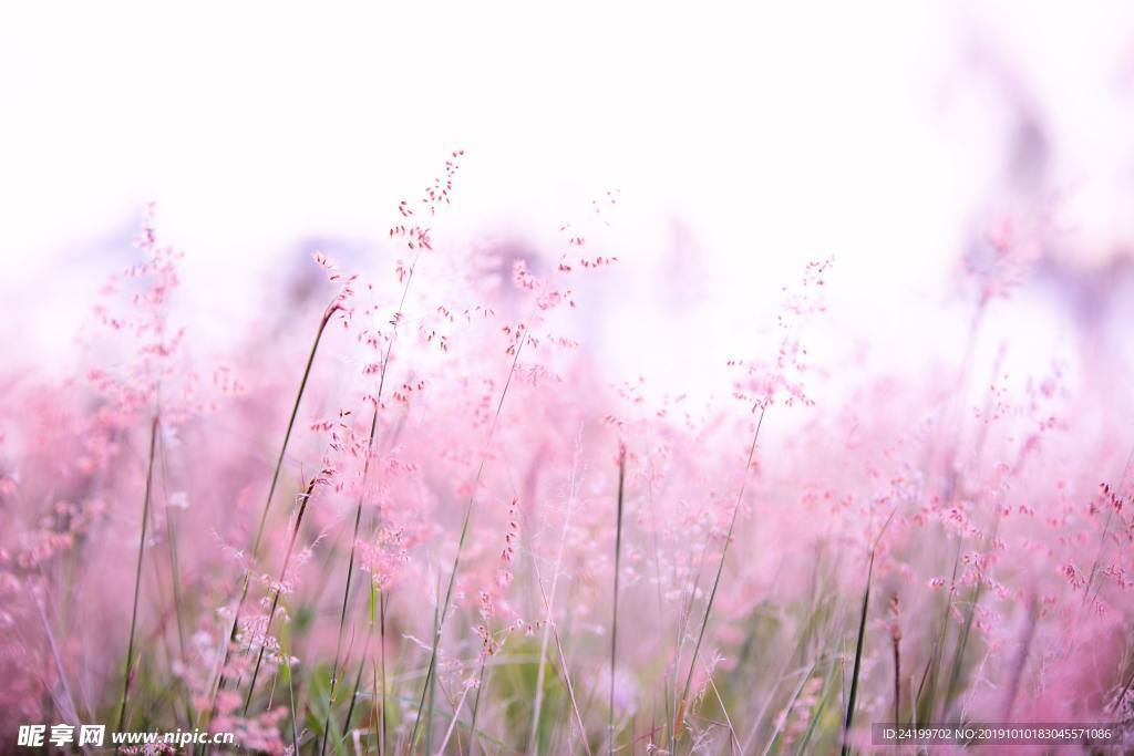 唯美风景