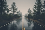 公路
