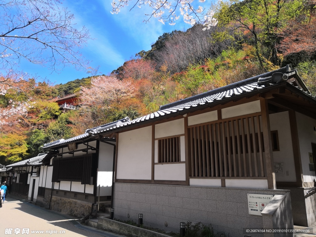 日本清水寺