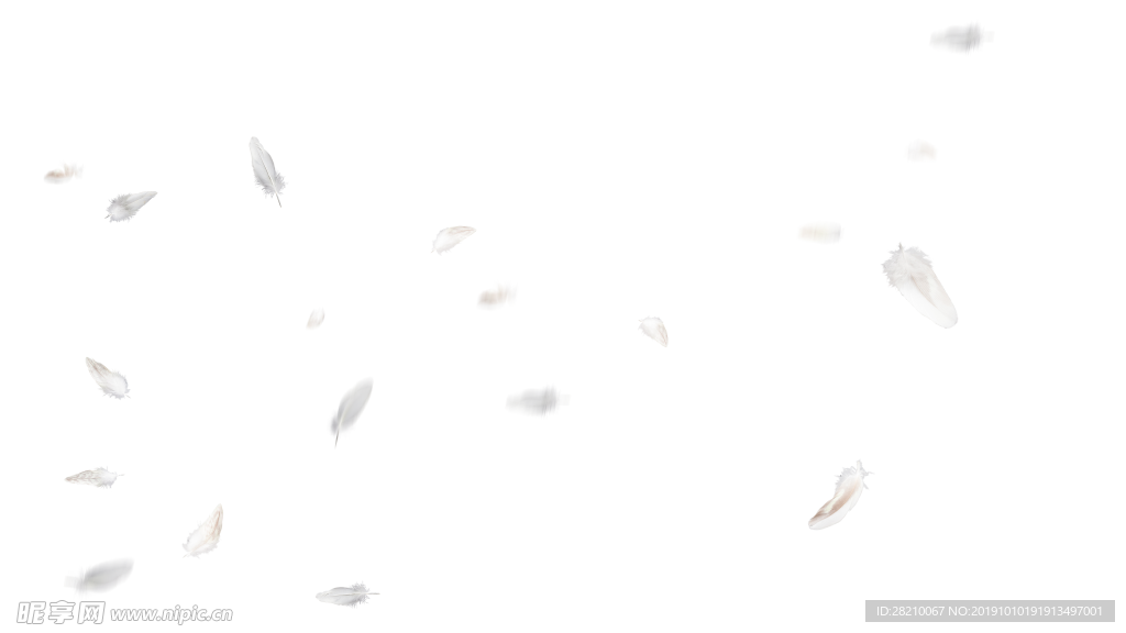 羽毛