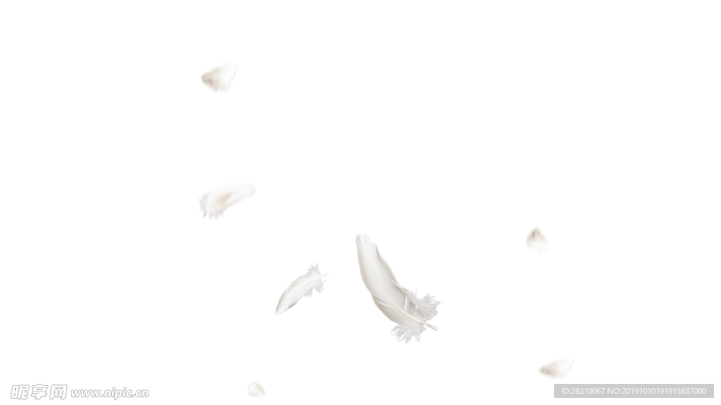 羽毛