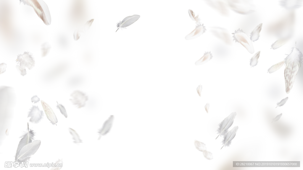 羽毛