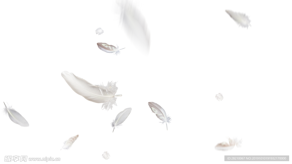 羽毛