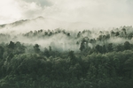 山间雾气