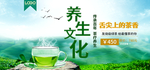 茶叶banner