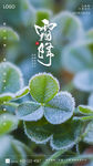 中国传统节气霜降海报设计