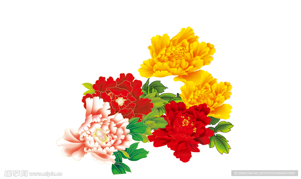 牡丹花