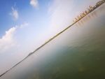 蚌埠龙子湖