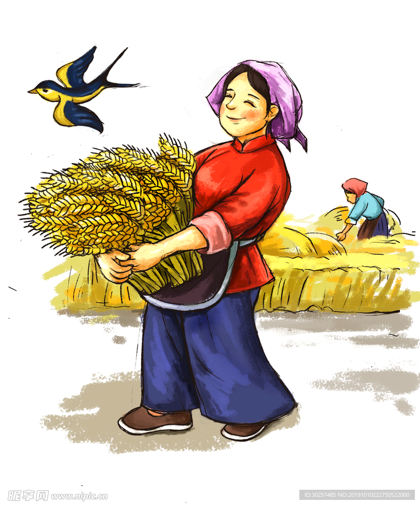 割麦子