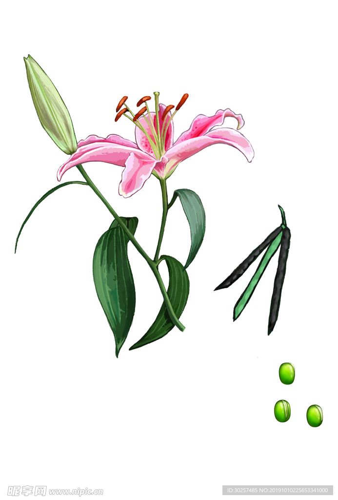花