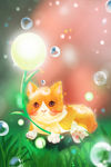 小猫喵
