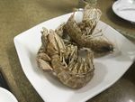 皮皮虾