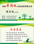 绿色名片