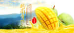 越南青芒芒果宣传海报大图