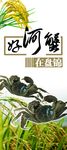 盘锦河蟹展板喷绘