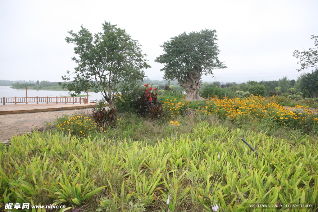 自然风光风景