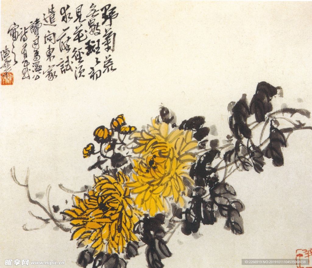 野菊