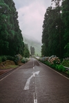 公路