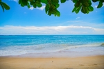 海滩