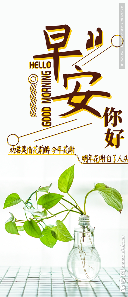 小清新早安