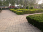 公园