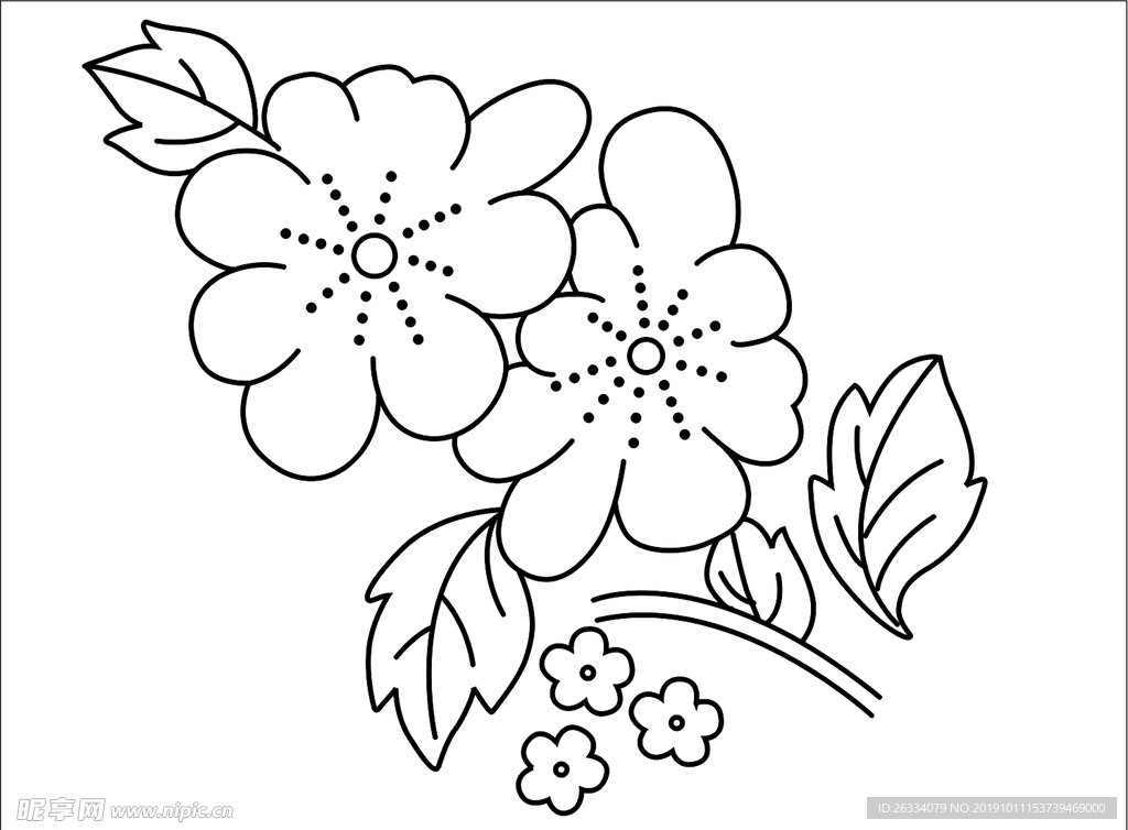 花 5片花 散花 单花 叶子