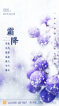 霜降海报