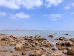 小清新大海礁石