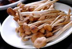 汤锅类茶树菇