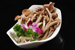 鲜茶树菇