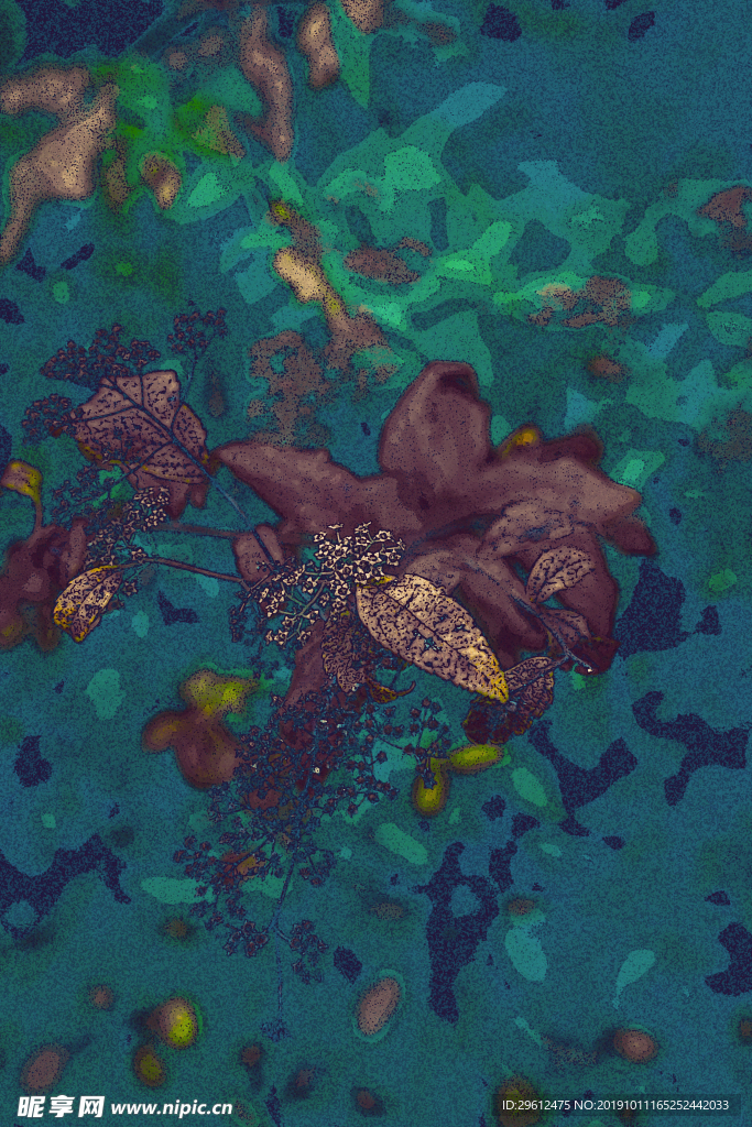 插画